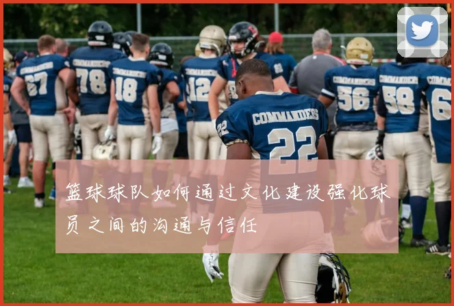 篮球球队如何通过文化建设强化球员之间的沟通与信任