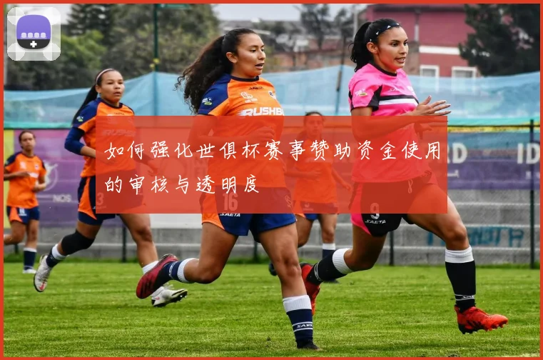 如何强化世俱杯赛事赞助资金使用的审核与透明度