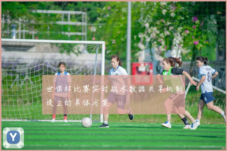 世俱杯比赛实时战术数据共享机制设立的具体方案